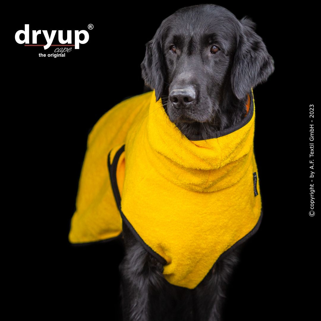 Dryup cape - Geel